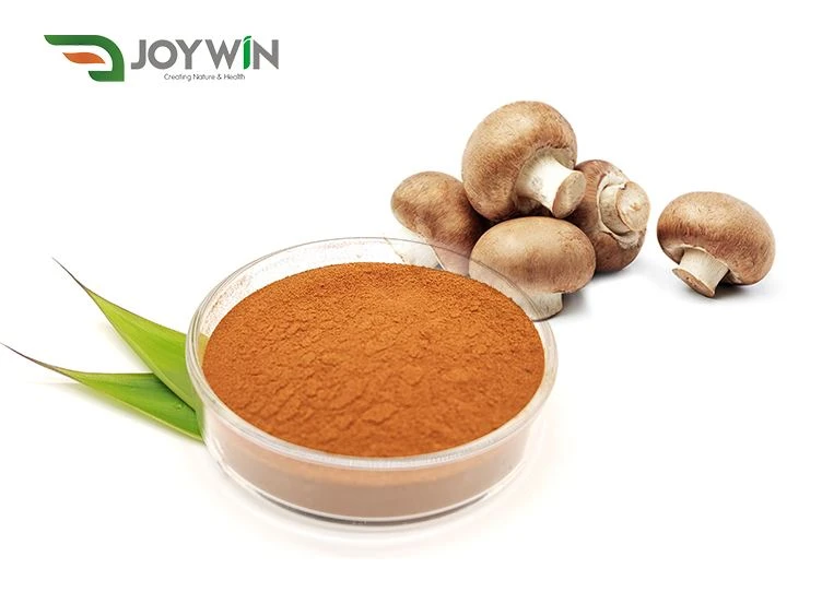 O extrato de cogumelo Shiitake pode ser usado em cosméticos?