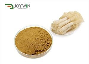 Pó de extrato de fungo de bambu